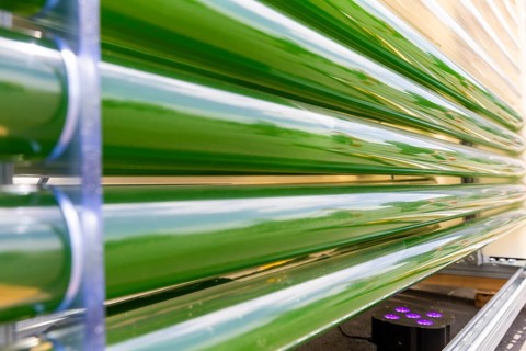 PUEVIT GmbH produces the most efficient photobioreactors for the cultivation of microalgae. The aim