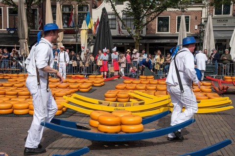 Alkmaar, Netherlands, May 2022. The cheese carriers, with their colored straw hats, at the Alkmaar