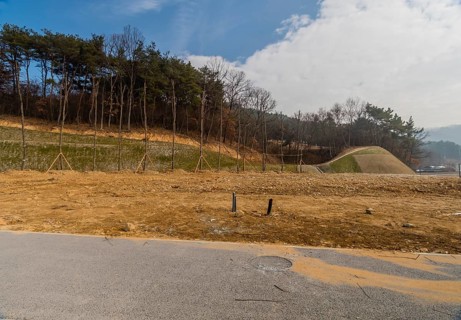 Landscape of construction site with row of newly planted trees at edge of undeveloped land, South