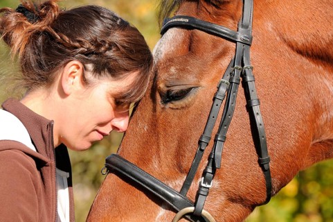Woman and old horse, Trakehner, 30 years old, German warmblood, riding horse, bridle, lateral
