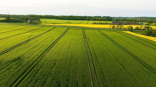 Aerial view, Denmark, Region Syddanmark, Christiansfeld, Agriculture and farms with grain and rape