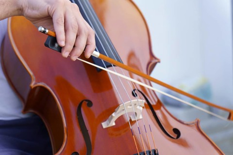 Hands of unrecognizable man playing the cello on a white background and copy space