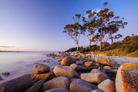 The lichen covered rocks at sunset in the Bay of Fires at Binalong Bay, Australia, Oceania