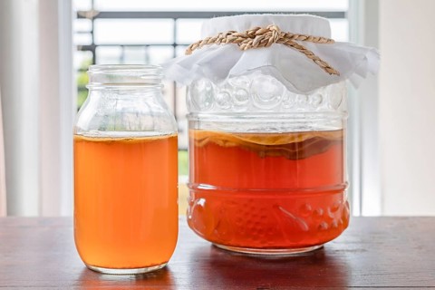 Kombucha tea popular fermented healthy drink natural high probiotics