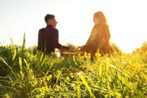 View from the back. Young married couple are holding hands on a picnic in nature at sunset. The