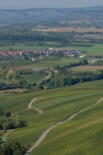 View of the vineyard landscape near Löwenstein, Löwensteiner Berge, vineyards, Heilbronn-Franken,