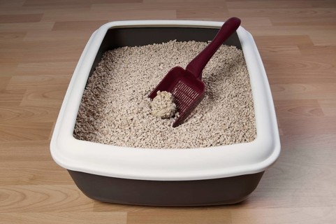 cat litter box with biodegradable pine wood chips