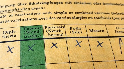 German international certificate of vaccination with complete records for diphtheria, tetanus,