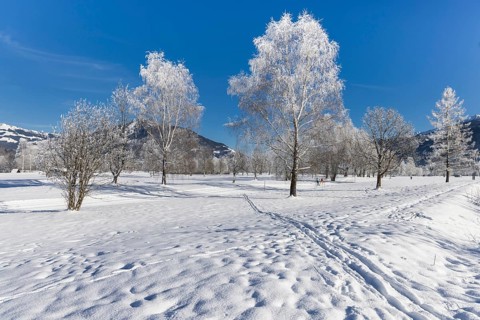 Winter, snow, cross-country skiing, hiking, winter hike, mountains, Hohe Tauern, Pinzgau