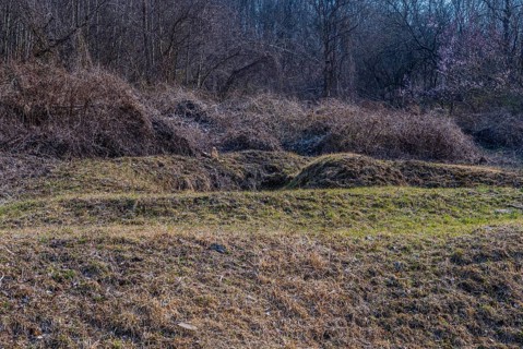 Unmarked burial mound in clearing of wilderness area on sunny day in early spring, South Korea,