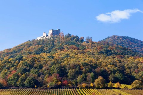 Hambach Castle