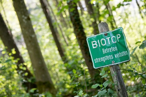 Nature reserve area in Germany. Sign with ?Biotope. Strictly forbidden to enter?