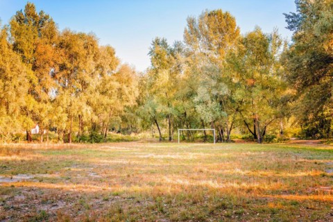 A football (soccer) playground surrounded by trees in the middle of the forest