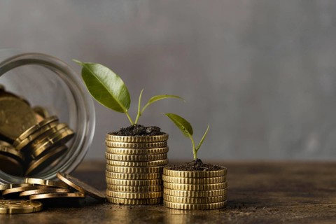Front view two stacks coins with jar plants. Resolution and high quality beautiful photo