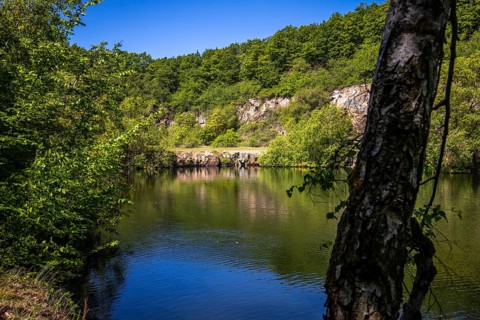 Scenic view at the silver lake on the mountain Lemberg, Rhineland-Palatinate, Germany, Europe