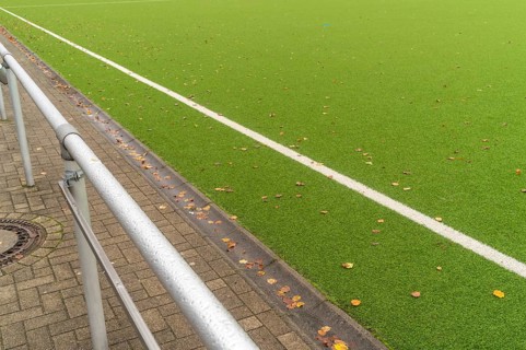 Showing the white line marking the edge of the field, autumn leaves are gathering along the