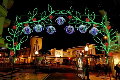 Christmas lights, leaves, flowers, Mercado dos Lavraderos, Funchal, Madeira Island
