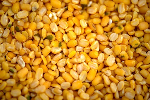 Dry organic Split Half Moong or Mung bean or green gram. Healthy spices, nuts, seeds and herbal