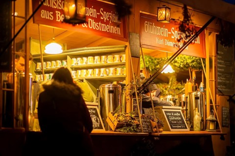 The historic Christmas market on the Neumarkt in front of the Church of Our Lady, Dresden, Saxony,