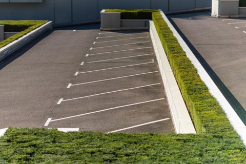 Diagonal parking pattern on a parking space, surrounded by boxwood in the City Nord, an office city