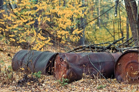 Barrels of chemical waste in the forest in Chernobyl Ukraine in autumn