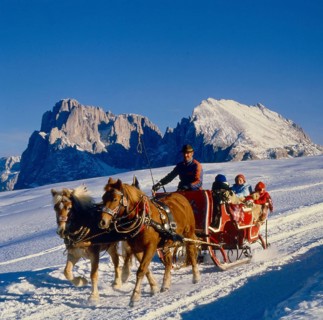 Sledging, Alpe di Siusi South Tyrol