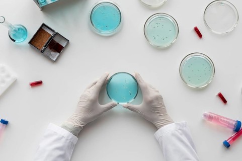 Close up hands holding petri dish. Beautiful photo