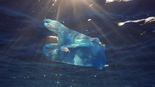 Disposable blue plastic bag floats under surface in blue water in sunrays. Plastic bag thrown into
