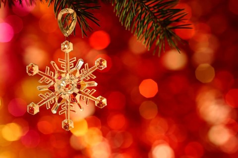 Snowflake on branch of Christmas tree against red blurred background