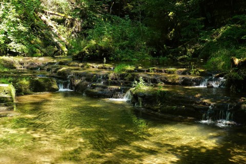 Gauchach Gorge in the Black Forest, Baden-Württemberg, Germany, Gauchach Gorge in the Black Forest,