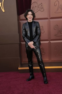 Timothee Chalamet at the Los Angeles premiere of 'Wonka' held at the Regency Village Theater in