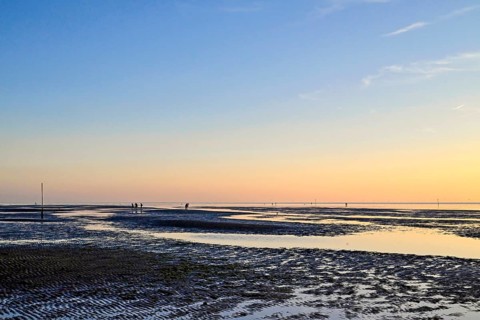Wadden Sea shortly in front of sunset, Sahlenburg, Cuxhaven, Lower Saxony, Germany, Europe