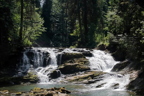 Schwarzwasserbach