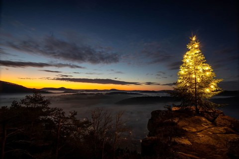 Exhilarating sunrise at the Wachtfelsen. Magical morning mist, clouds and a Christmas tree in the
