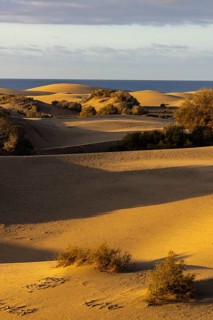 Maspalomas Dunes Nature Reserve, Gran Canaria, Canary Islands