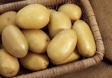 Mona Lisa Potato (Solanum tuberosum), Vegetables in Basket