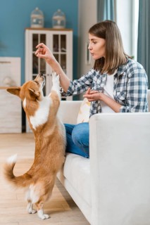 Woman couch giving her dog treat