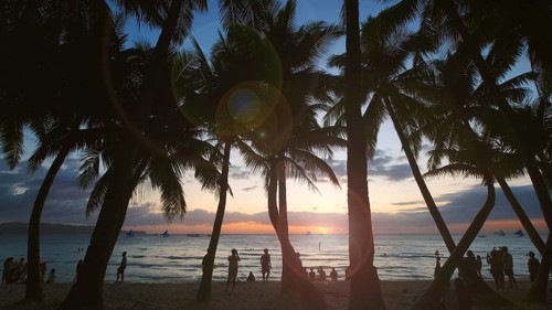Silhouetted people and palms near sea. Sunset at tropical White beach, Boracay island, Philippines,