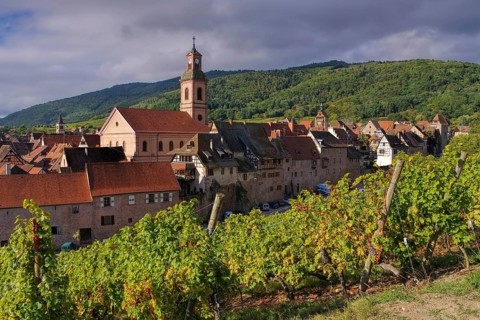 Vineyard and townscape Riquewihr in Alsace, France, Vineyard and townscape Riquewihr, Alsace in