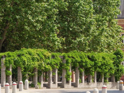 Stone arcade with lush foliage in a natural, green setting in summer, speyer, germany