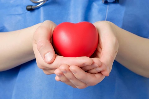 Female doctor holding a red heart shape