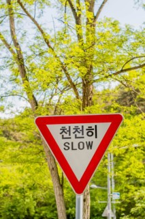 Red triangular traffic sign with the word 'SLOW' and Korean text against green foliage, in Daejeon,