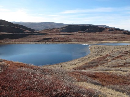 Autumn colours near Kangerlussuaq, West Greenland