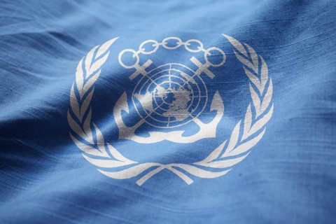 Closeup of Ruffled International Maritime Organization Flag, International Maritime Organization
