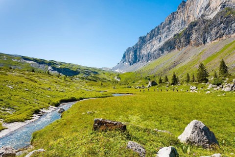 Beautiful green grass valley at high elevation at Sixt Fer A Cheval National Park with view of Tete