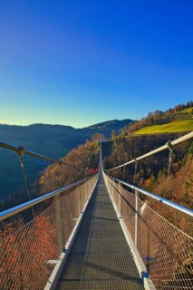 Longitudinal view of a suspension bridge leading over wooded hills, Black Forest Line, suspension