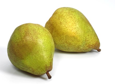 Culture pear, pear, pears (pyrus), rose family, comice pear communiss against white background