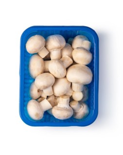 fresh mushroom champignons in a basket isolated on white background