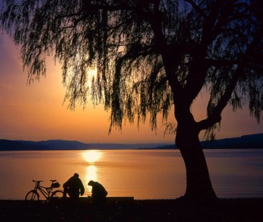 Reichenau Island in Lake of Constance, evening mood, pair on bench, bicycles, Baden-Württemberg,