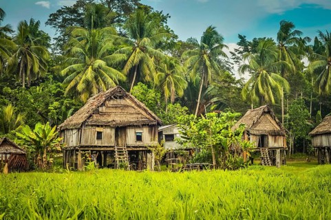 Simple houses made of straw, wood and bamboo surrounded by greenery in Palembe, Sepik river in
